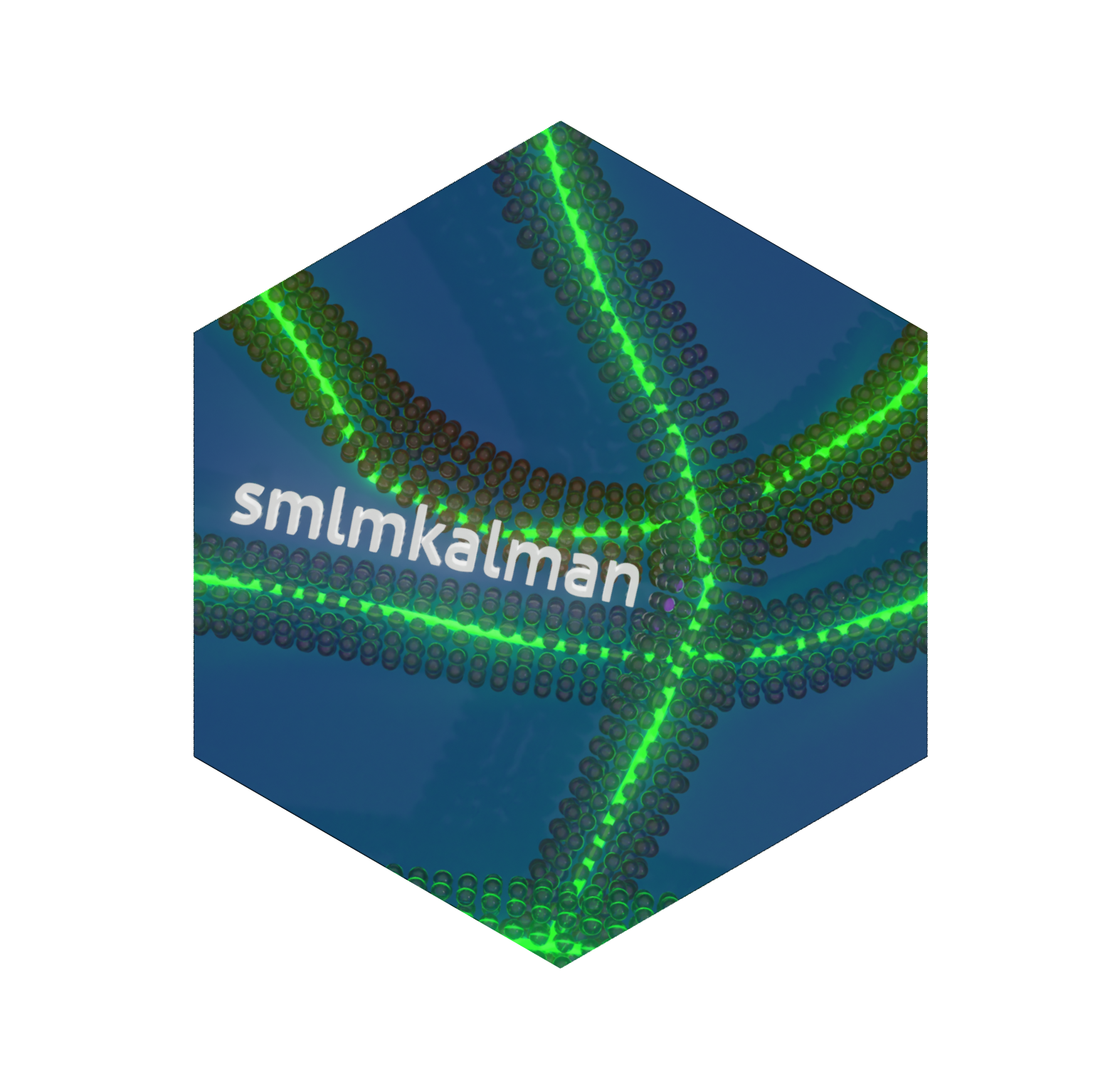 smlmkalman logo